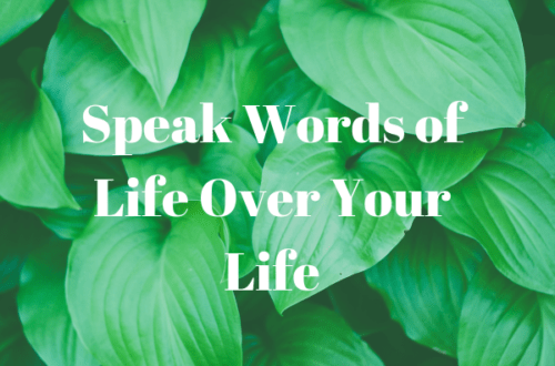 Speak Words of Life Over Your Life