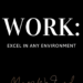 WORK: EXCEL IN ANY ENVIRONMENT BY MARGO WOODWARD