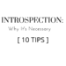 INTROSPECTION: Why It's Necessary by Margo Woodward