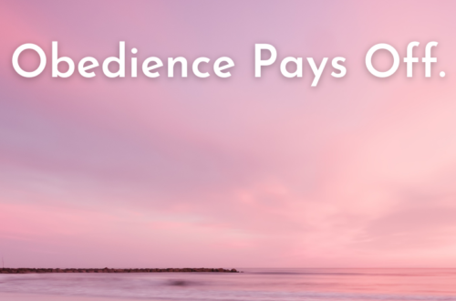 Obedience pays off by Margo Woodward