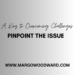 Overcoming Challenges pinpoint the issue by Margo Woodward
